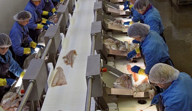 Работа рыбного завода в Териберке будет восстановлена