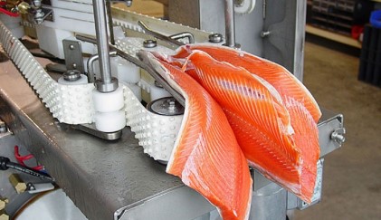 Крупные рыбоперерабатывающие заводы появятся в России к 2023 году