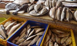 Рыбные рынки Приморья