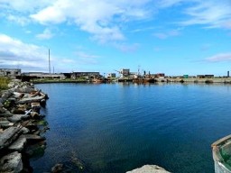 Японцы инвестируют в бывший рыбколхоз на Сахалине