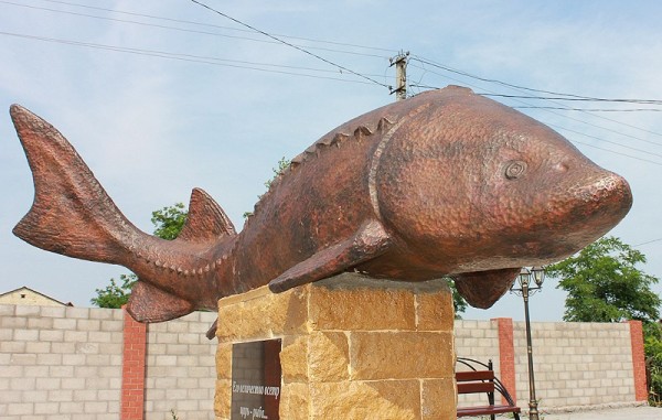 Памятник осетру в селе Мелекино Донецкой области