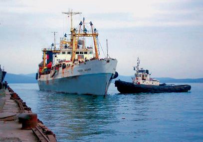 Корейцы утвердили список российских рыбоперерабатывающих компаний-импортеров