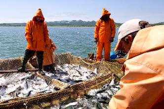 Инвестквоты для рыбаков Сахалинской области