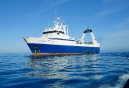 АО  "Альтернатива" выловила более 20 тысяч тонн рыбы