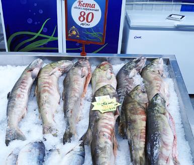 Свежемороженая рыба в хабаровском ТЦ "ЭкоДом"