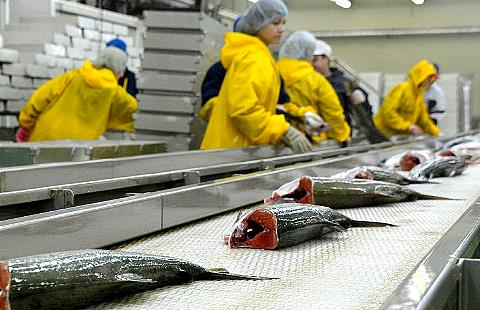 Ядро проектов рыбной отрасли Сахалина