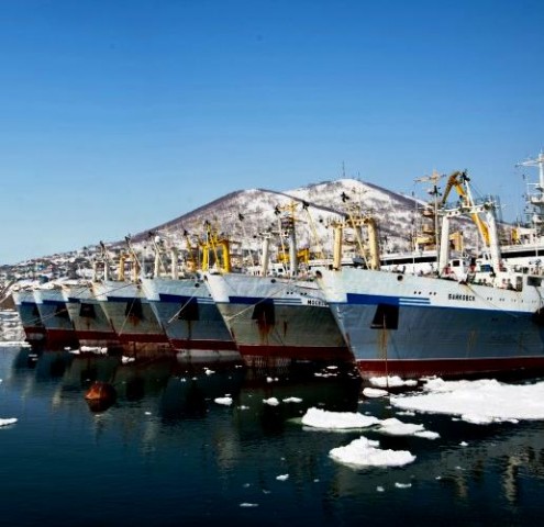 Порт-хаб для рыболовного флота Камчатского края
