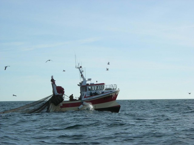 Траловый лов рыбы в Саратовской области запретят