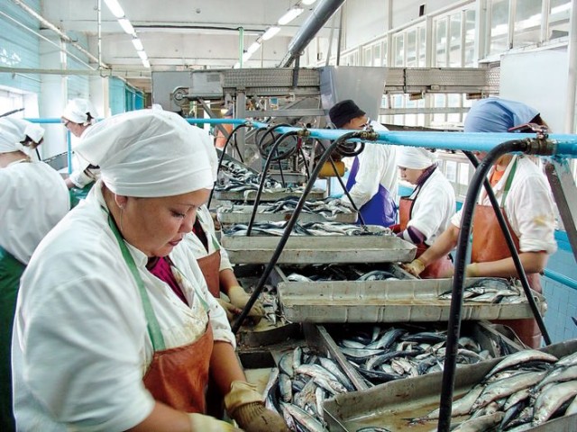 В Кондопоге построят завод по глубокой переработке трески и форели