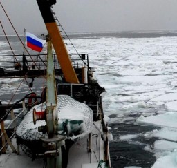 Рыболовство в Арктике: современные вызовы, международные практики, перспективы