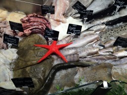 Охлажденная рыба в супермаркетах "Я любимый"