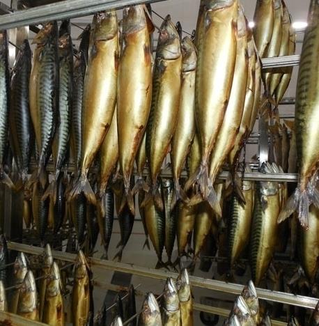 Кузбасский завод по переработке рыбы успешно освоил средства господдержки