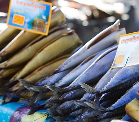 Рыбный фестиваль в Калуге