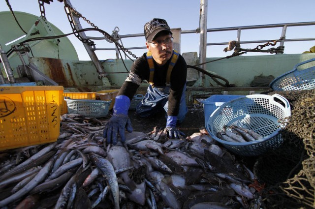 Япония воздержится от промысла минтая в Охотском море