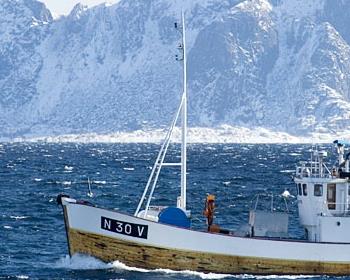Представители Норвегии примут участие в Первом Русском рыбном форуме