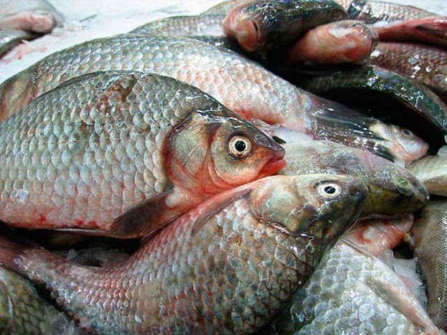 В Башкирии будут проводиться рыбные фестивали