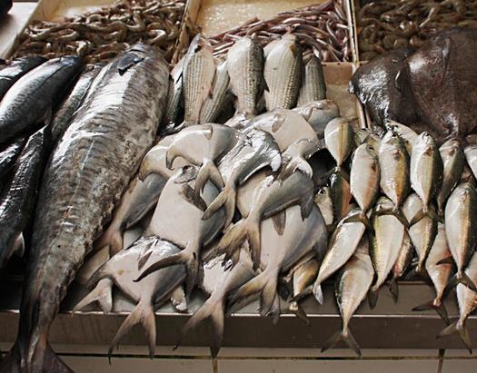 Рыбные рынки Башкирии
