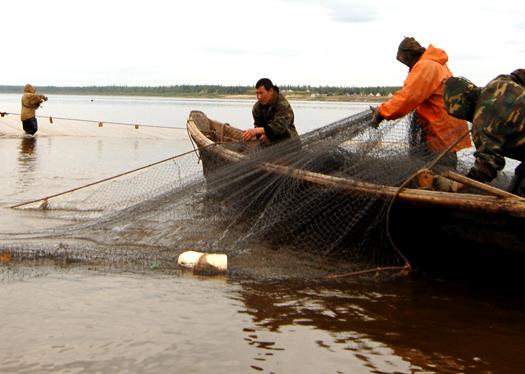 Рыбохозяйственный совет Ненецкого автономного округа