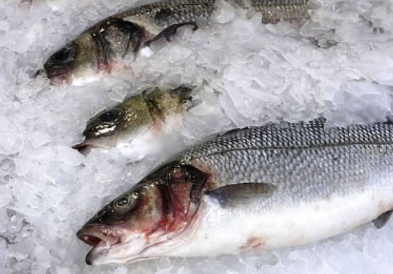 Нормы содержания глазури в замороженной рыбе и морепродуктах