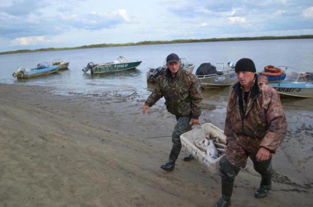 Новые рыбопромысловые участки появились в Ненецком АО