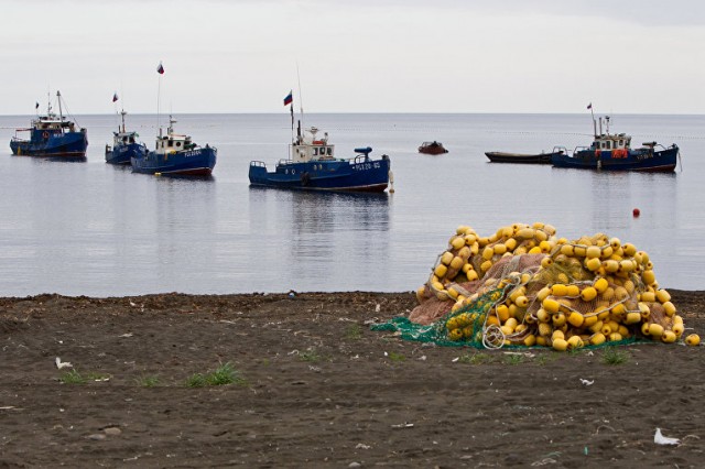 Рыбопромысловые участки в Японском море выставлены на торги