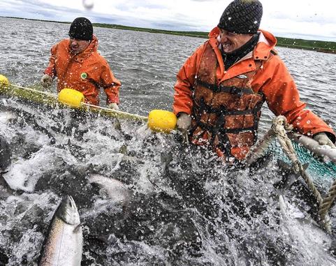 Рыбные компании - лидеры Камчатки