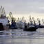 Рыба в спб. Компании реализующие рыбу оптом в Санкт-Петербурге