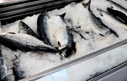"Доступная рыба" в Поронайске. Перечень магазинов, продающих свежемороженую навагу