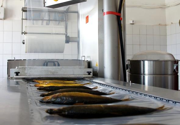 ООО "Рыбная компания" будет поставлять продукцию в Китай