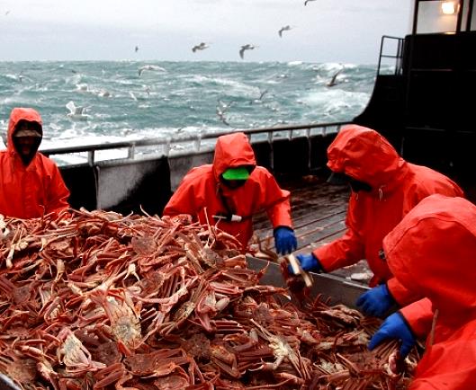 Владивосток может открыть рыбные аукционы для стран АТР