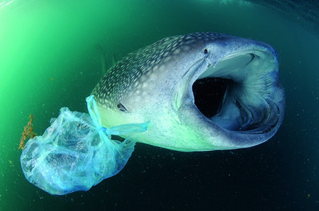 Пластиковый мусор на дне мирового океана
