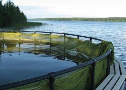 Водоемы для разведения рыбы в Архангельской области