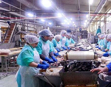 «Русский рыбный мир» построит предприятие в Подольске