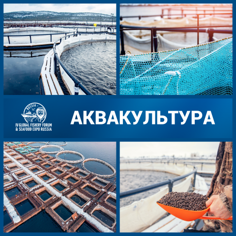 Аквакульутра стала неотъемлемой частью Global Fishery Forum & Seafood Expo Russia