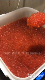 Продам: морепродукты в ассортименте в Москве