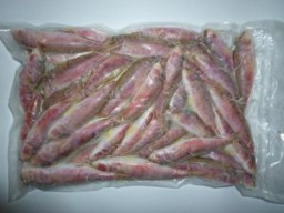 Оптовая продажа свежемороженой и охлажденной рыбы